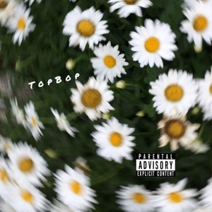 Top Bop(feat. Gabe Belville & WOODSON) (Explicit)