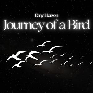 Journey of a Bird