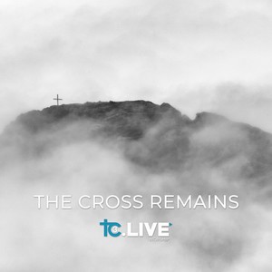 The Cross Remains (feat. Andy Curtis)