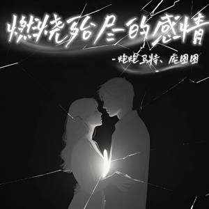 燃烧殆尽的感情