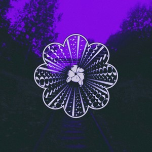 Electrodiffusion index