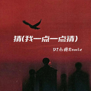 猜 (DJ小辞Remix伴奏)