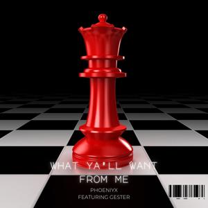 What Ya'll Want From Me (feat. Gester) (Radio Edit)