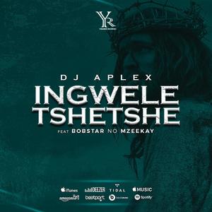 Ingweletshetshe (feat. Bobster no Mzeekay)