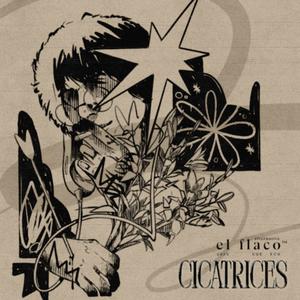 Cicatrices