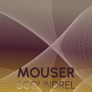 Mouser Scoundrel