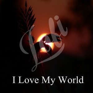 My Love For You