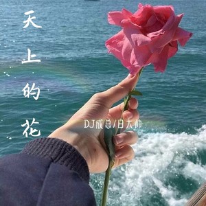 天上的花