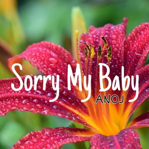 Sorry My Baby