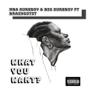 What You Want (feat. BrainGotit)