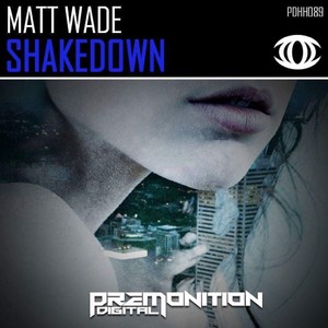 Shakedown (Original Mix)
