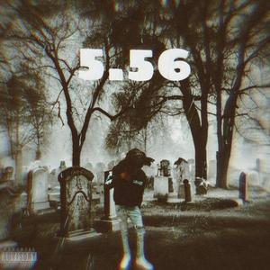 5.56 2.0 (Explicit)