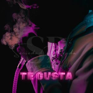 TE GUSTA (Explicit)