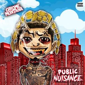 Public Nuisance