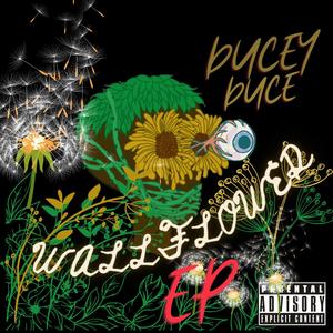 Wallflower (Explicit)