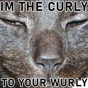 I'M THE CURLY TO YOUR WURLY