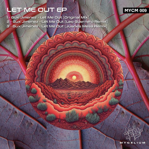 Let Me Out (Juanes Mesa Remix)