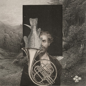 Rosie's Glorious Return to the Pool