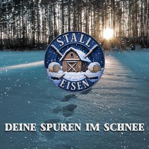Deine Spuren im Schnee