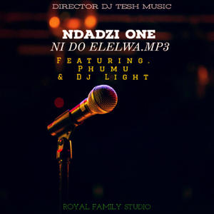 Ni Do Elelwa (feat. Phumu & Dj Light) (feat. Ndadzi One, Phumu & DJ Light)
