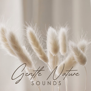 Wind Chimes on the Gentle Sea Breeze