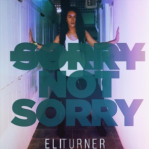 Sorry Not Sorry (Explicit)