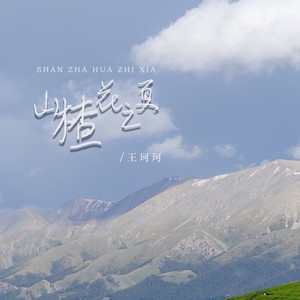 王珂珂 - 山楂花之夏
