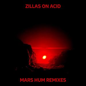 Drones Go Home (feat. Matt O’Hare) (Zillas on Acid Remix)