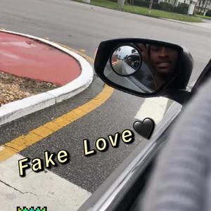 Fake Love