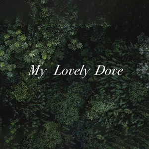 My Lovely Dove