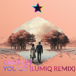Can't Let You Go (LUMIQ Remix)