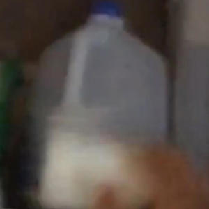 Cabinet Milk (Explicit)