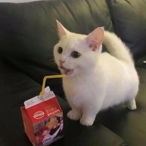甜甜咸咸封面