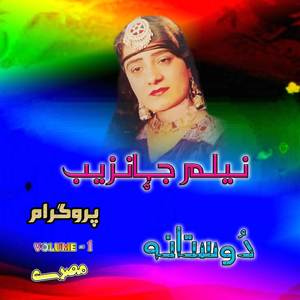 Dostana Program Tappay, Pt. 6