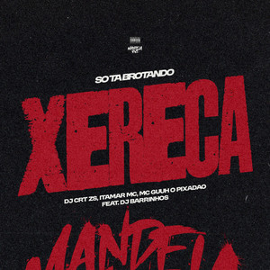 So Ta Brotando Xereca (feat. DJ Barrinhos) (Explicit)