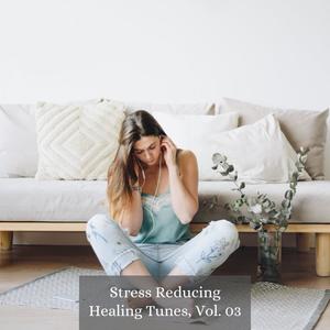 Stress Reducing Healing Tunes, Vol. 03