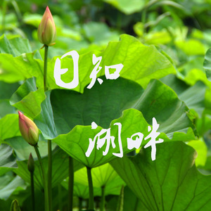 鞍山你好