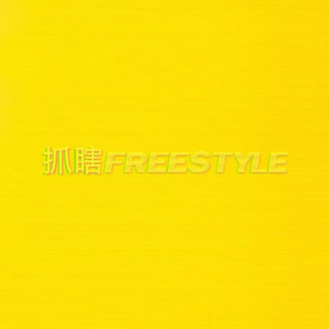 抓瞎FREESTYLE