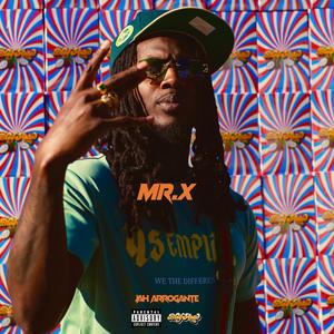 Mr.X (Explicit)