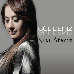 Siler Atarım