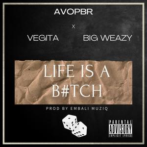 Life Is A B#tch(feat. Vegita and Big Weazy) (Explicit)