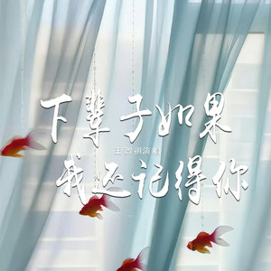 下辈子如果我还记得你 (RNB版)封面
