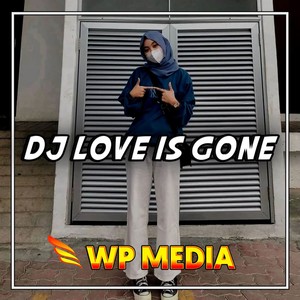 DJ Love Is Gone (ins)