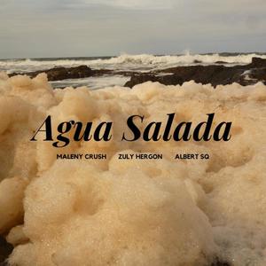 Agua Salada (feat. Zuly Hergon)