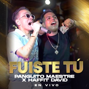 Fuiste Tú (En Vivo)