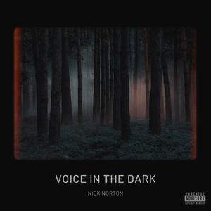 VOICE IN THE DARK (Explicit)