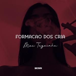 FORMAÇÃO DOS CRIA, MEC TEGUINHA (feat. Mc KF & Mc Neguinho do ITR)