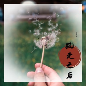 风走之后