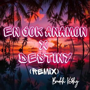 Bradah Ka$hy - En Jok Anamon (Remix)