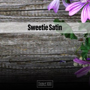 Sweetie Satin District XXIII